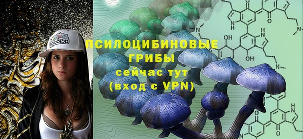 соль ск Алзамай